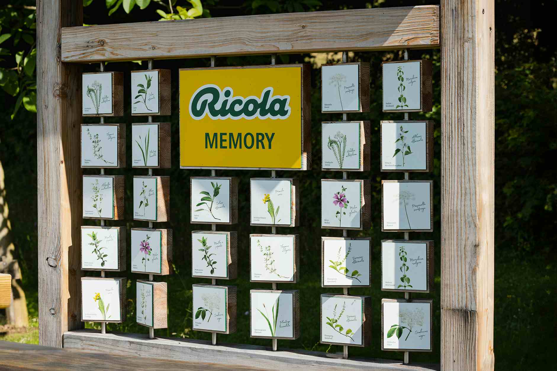 Herb Garden Nenzlingen